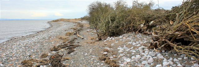 07-skinburness-bank-and-beach-ruth-walking-the-english-coast-cumbria