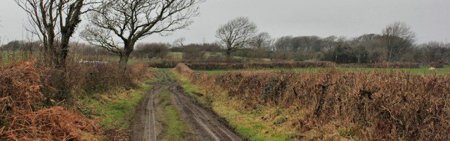 09-track-to-holme-bridge-ruth-hiking-near-ravenglass-cumbria