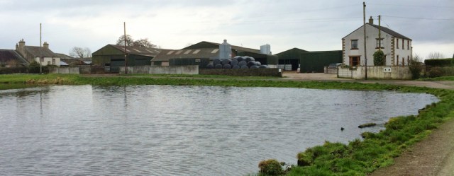 10-pond-at-salt-coastes-ruth-hiking-in-cumbria
