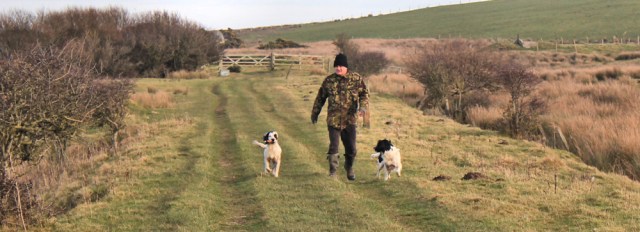 11-friendly-dogs-ruth-livingstone-walking-the-english-coast-cumbria