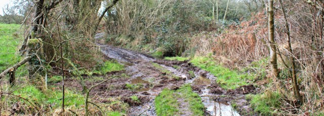 11-muddy-track-to-drigg-ruth-livingstone-hiking-in-cumbria