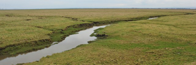 15-skinburness-marsh-ruths-coastal-walk-around-britain-cumbria