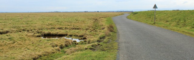 17-sea-dyke-end-ruths-coastal-walk-around-britain-cumbria