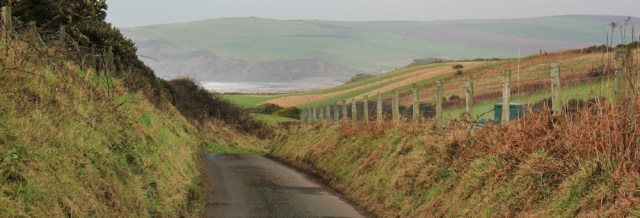 21-st-bees-ahead-ruth-walking-the-coast-cumbria