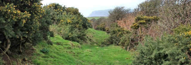 22-footpath-down-to-beach-ruth-livingstone-hiking-to-st-bees