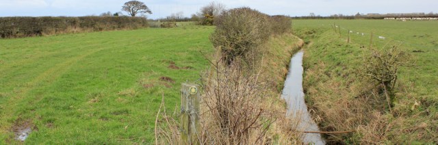 a04-footpath-to-waitefield-ruth-livingstone-walking-the-english-coast-cumbria