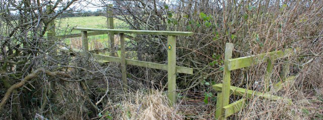 a08-overgrown-bridge-ruth-livingstone-walking-the-english-coast-cumbria