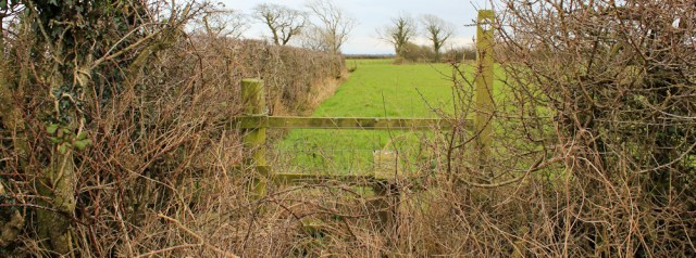 a10-another-overgrown-stile-ruth-livingstone-walking-the-english-coast-cumbria