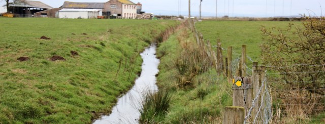a12-obstructed-footpath-ruth-livingstone-walking-the-english-coast-cumbria