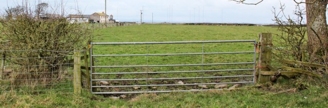 a13-path-to-seaville-cote-ruth-livingstone-walking-the-english-coast-cumbria