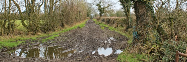 a14-muddy-track-beech-house-ruth-livingstone-walking-the-english-coast-cumbria