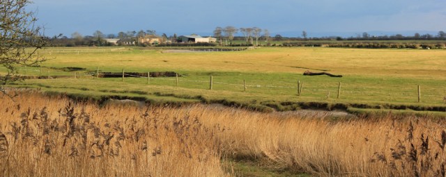 a20-skinburness-marsh-ruth-livingstone-walking-the-english-coast-cumbria
