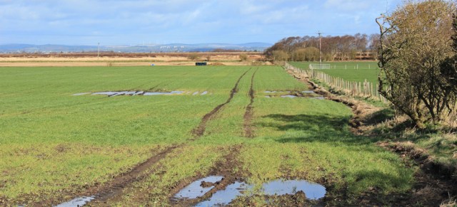 07 inland view across marshes, Ruth in Solway