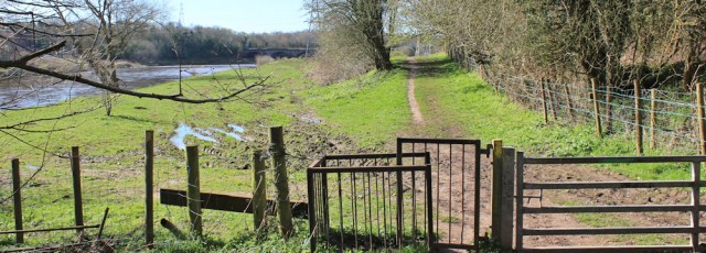07 river Eden, Ruth hiking from Carlisle to Gretna, Cumbria