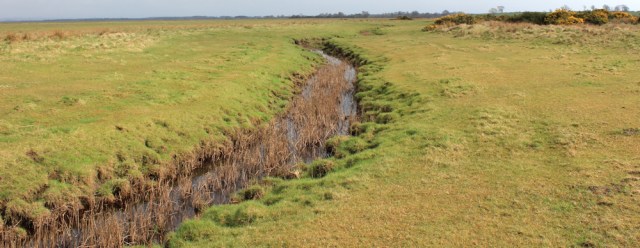10 Ruth Livingstone in Burgh Marsh, Burgh by Sands