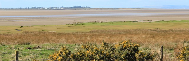 16 Skinburness across Moricambe Bay, Ruth walking the English coast path