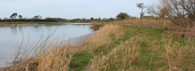 21 walking along the River Eden to Rockcliffe