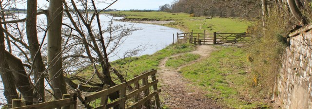 24 Castletown marshes, Ruth Livingstone hiking near Carlisle - Copy