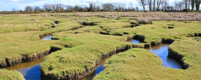 25 Campfield Marsh, Ruth Livingstone walking the Solway coast