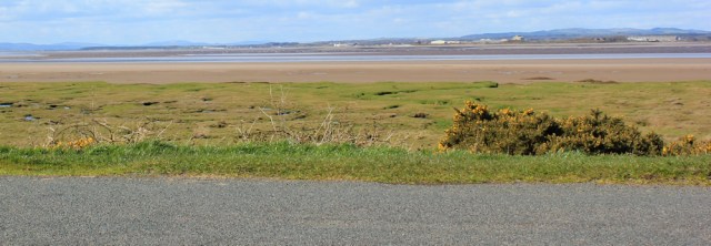28 failed self-portrait, bank of RIver Eden