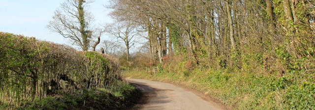 30 road walking to Rockcliffe Cross, Ruth's coastal walk, River Eden - Copy