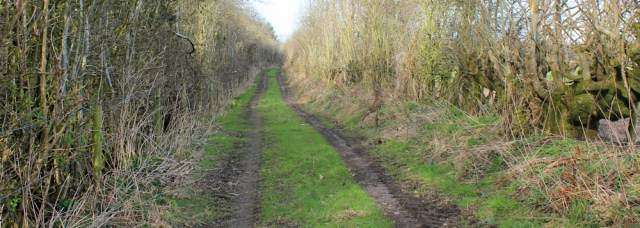 35 track to Metalbridge, Ruth's coastal walk from Carlisle to Gretna - Copy