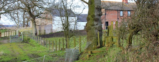 36 footpath around Garriestown, Ruth Livingstone - Copy