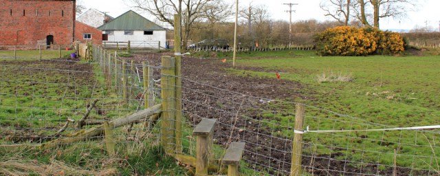 37 nasty footpath, Garriestown, Ruth hiking in Cumbria - Copy