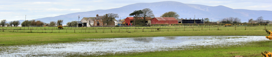 Ruthwell, Ruth Livingstone