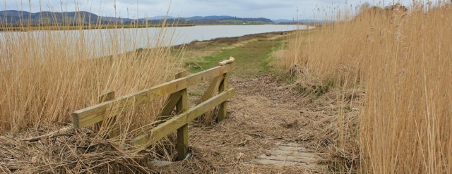 05 flotsam on the path to Dumfries, Ruth Livingstone walking the Scottish coast