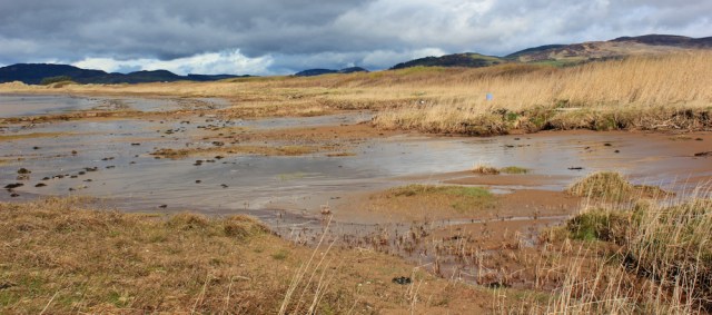 05 marsh and Mersehead Sands, Ruth walking the Scottish coast, Dumfries and Galloway