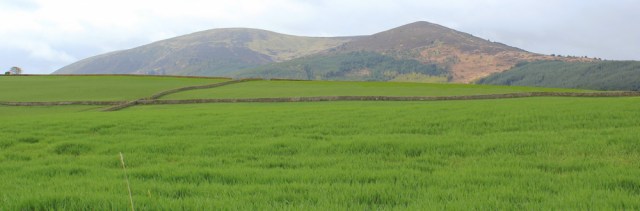 07 Criffel, Ruth walking in Dumfries and Galloway