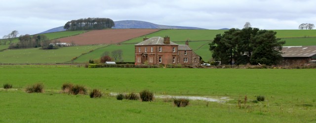08 Larchwoods, Ruth walking the Scottish coast, Dumfries and Galloway