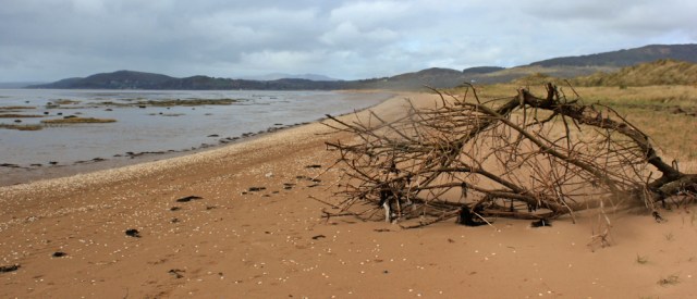10 raining on shore, Mersehead Nature Reserve, Ruth's coastal walk