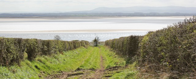 11 back to the Solway Shore, Ruth Livingstone in Scotland