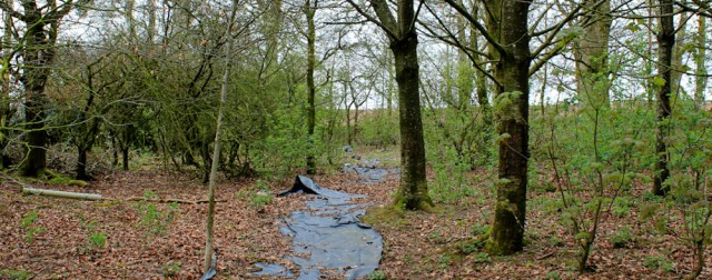 14 footpath up Ward Law, Ruth hiking near Dumfries