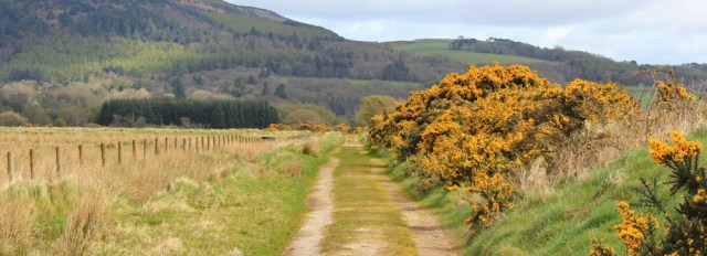 14 path back towards road, Mersehead, Ruth walking the Scottish coast, Dumfries and Galloway