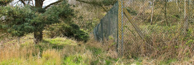 15 Torduff Point, disappearing path, Ruth's coastal walk, Dumfries and Galloway