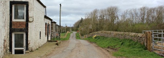 15 walking around Newbiebarns, Ruth's coastal walk, Dumfries and Galloway