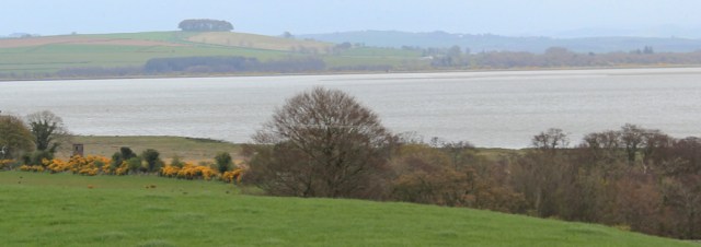 16 Drumburn viewing point and Ward Law, Ruth walking in Dumfries and Galloway