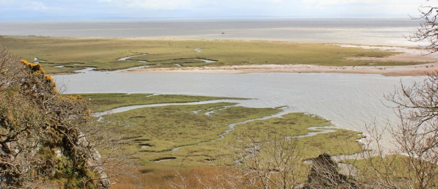 16 looking over Mersehead Nature Reserve, Ruth Livingstone