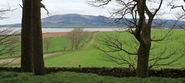 16 view of Criffel from Ward Law, Ruth Livingstone