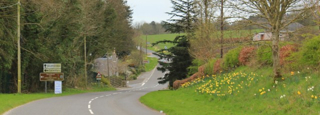 17 Kirkbean and turn off to Carsethorn, Ruth walking in Dumfries and Galloway