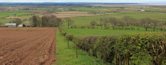 21 coming down High Law, Ruth heading to Blackshaw