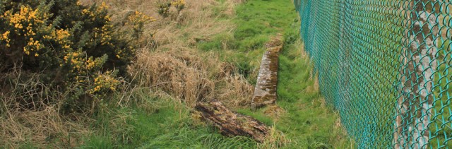 22 walking the fence, Ruth on the Dumfries and Galloway shoreline