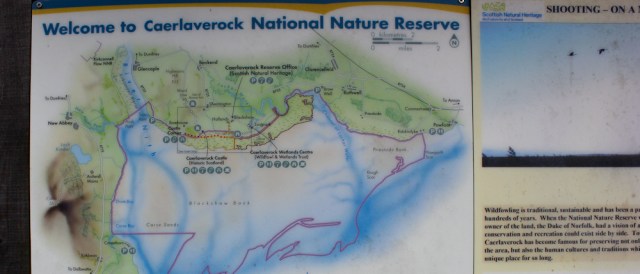 23 Caerlaverock Nature Reserve, Ruth walking the Scottish coast, Dumfries and Galloway