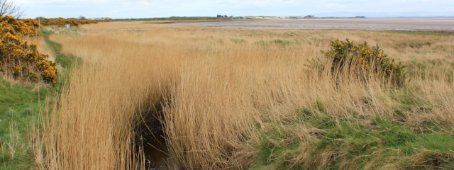 27 looking back to Torduff Point, Ruth walking the coast from Gretna to Annan