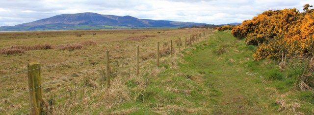 28 Caerlaverock Merse, Ruth hiking near Dumfries