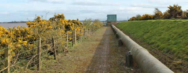 32 old railway embankment, Seafield, near Annan, Ruth Livingstone