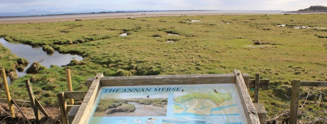 36 Annan Merse, Ruth walking the Solway Coast